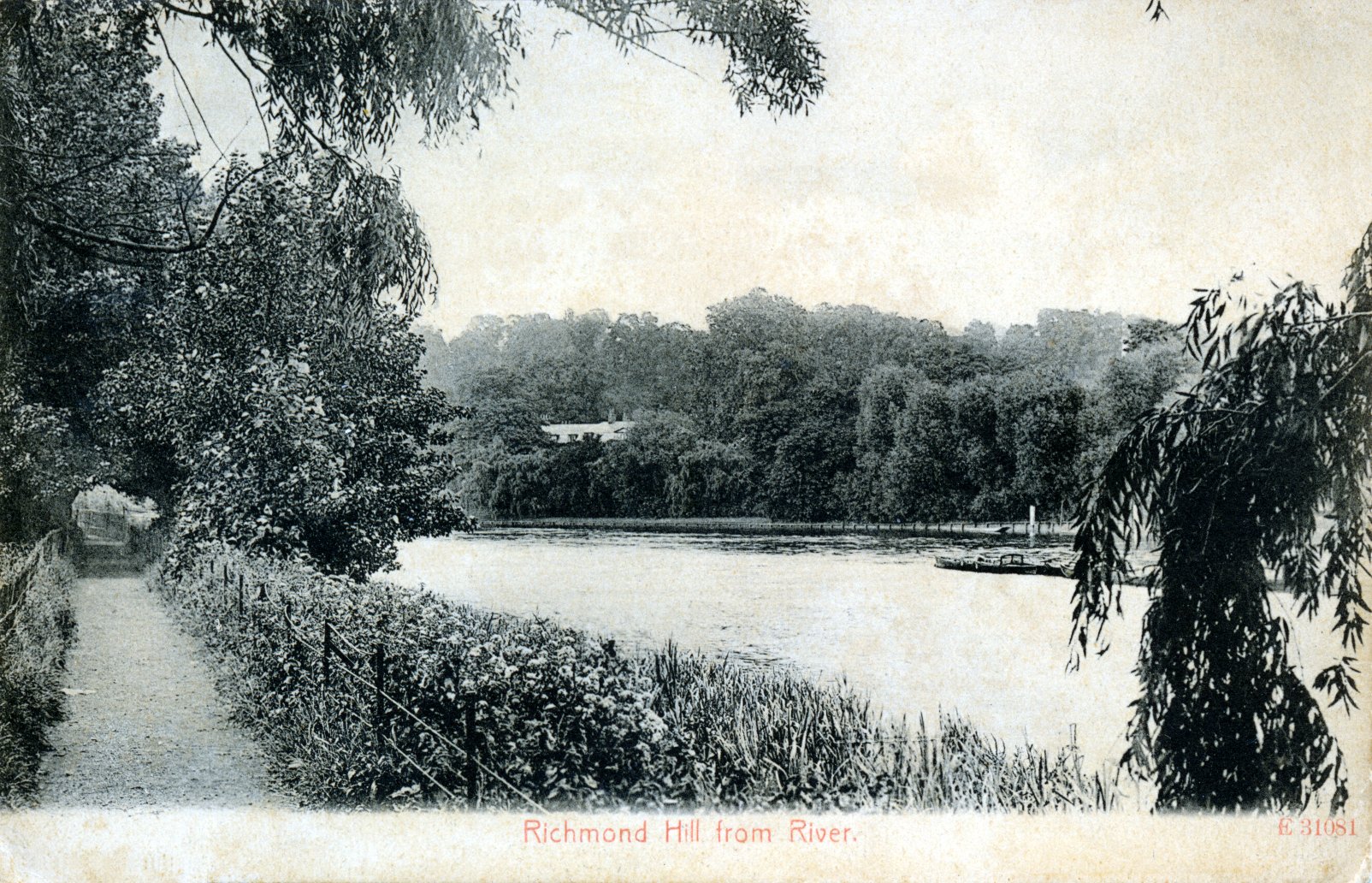 Twickenham Warren footpath,river view